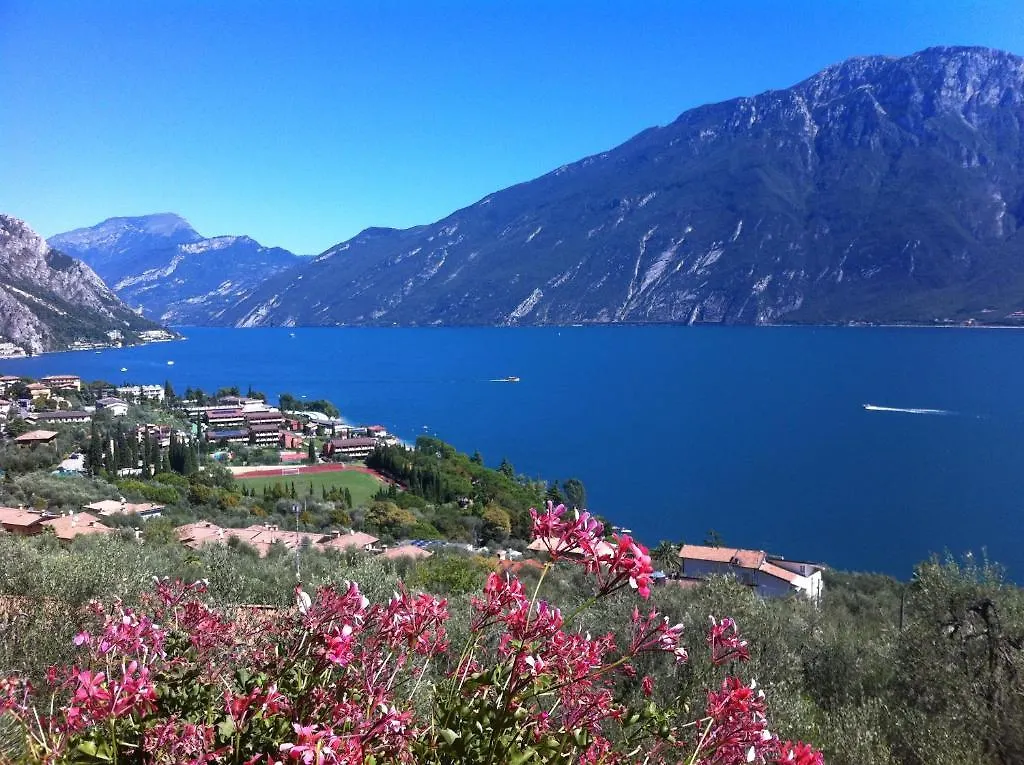 Hotel Villa Margherita contacts